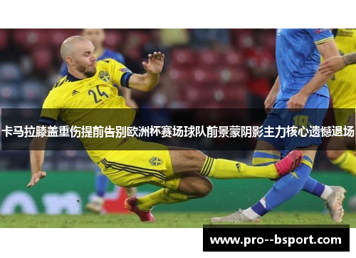 卡马拉膝盖重伤提前告别欧洲杯赛场球队前景蒙阴影主力核心遗憾退场